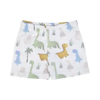 Zwemshort - Zwemboxer - Met Zonnebescherming - 24/36 Maanden - Dino's - Upf 50+