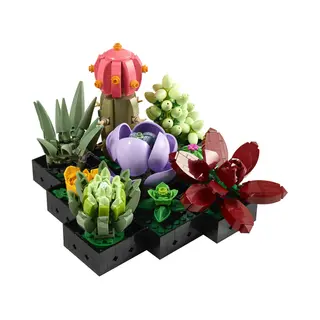 Lego 10309 Botanicals Succulents