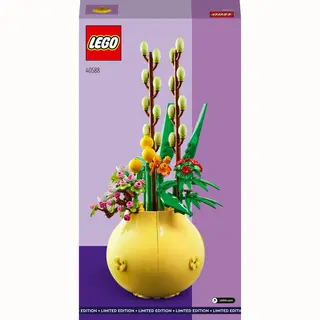 Lego Iconic 40588 bouwspeelgoed