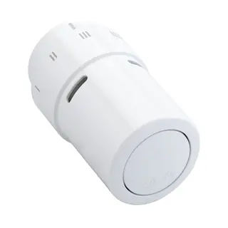 Danfoss 013G6070 thermostaatkraan