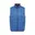 Ensign Blue