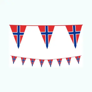 Pe Vlaggenlijn Slinger Noorwegen - Norge, Lengte 10 Meter