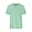 Dusty Mint