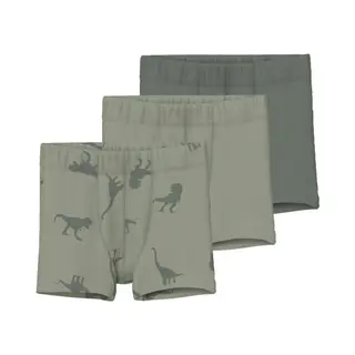 Name It Nmmtights 3P Agave Green Dino Noos Jongens Onderbroek - Maat 98