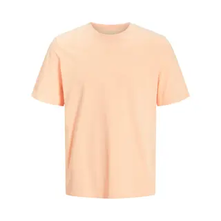 Jack & Jones Jjeorganic Basic Tee Ss O-Neck Noos