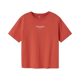 Name It Nkmbrody Ss Nreg Top Noos Jongens T-shirt - Paprika W. Jet Stream Print