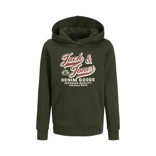 Jack & Jones Junior Jjelogo Sweat Hood 2 Col Aw25 Noos Jnr