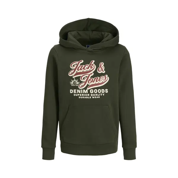 Jack & Jones Junior Jjelogo Sweat Hood 2 Col Aw25 Noos Jnr thumbnail