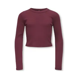 Only Kogbina Life L/S O-Neck Top Jrs Meisjes T-shirt - Cabernet