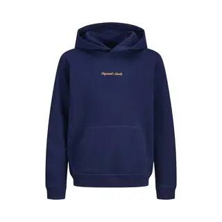 Jack & Jones Norrebro Emb Sweat Hoodie Junior - Maat 164