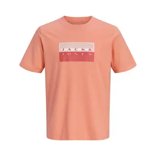 Jack & Jones Jack&Jones - Jcofusion Dots Print Tee Ss Cn Sn Jnr - Jongens - T-shirts