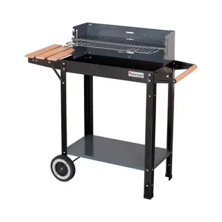 Master, Houtskool Barbecue, Grill Prostokątny Mg909 (53 cm)