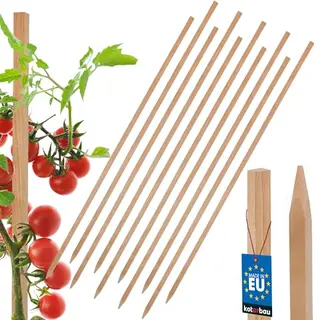Kotarbau® 10 Stuks Tomatenstaven – Beukenhout – 150 Cm – Natuurlijk – Plantenstaven – Tuinpen – Houten Palen – Tomatenstok –