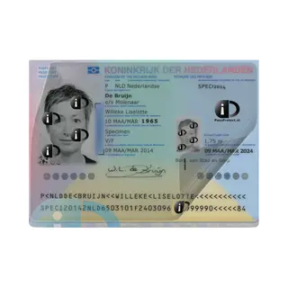 PassProtect Voor Paspoort | Beschermfolie | Herbruikbaar | Voorkom Identiteitsfraude | Beveiliging Bsn En Pasfoto