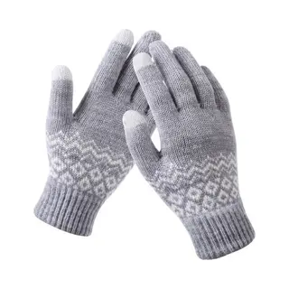 Handschoenen - Winter Handschoenen - Dames Handschoenen - Heren Handschoenen - Wanten Touchscreen - Grijs