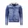 Blauw, RJ9031