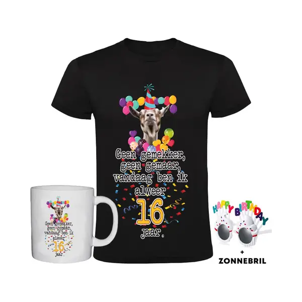 Sol's 16 Jaar Grappig Heren T-shirt + Mok + Bril - 16e Verjaardag - Jarig - Cadeau - Kado - Shirt thumbnail