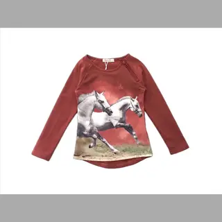 Meisjes Trui Met Paard – Bordeauxrood Maat 134/140