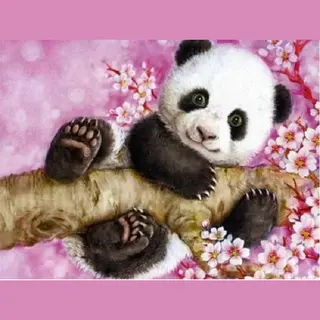 Paint By Numbers Panda In Boom - Schilderen Op Nummer Voor Volwassenen - 40x50cm