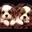 2 Hondjes