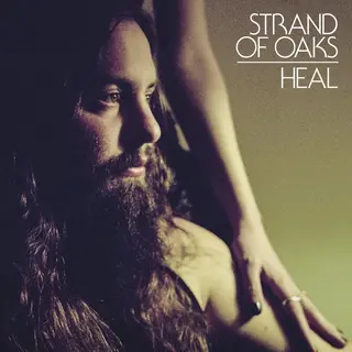 Dead oceans Heal [Vinyl]