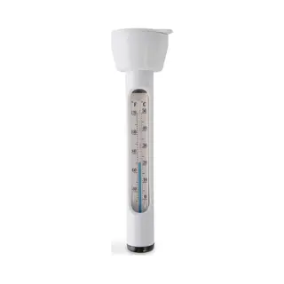 Intex Thermometer