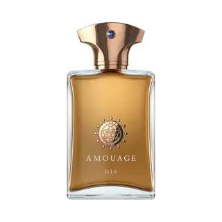 Amouage Dia Herren Edp – 100 Ml