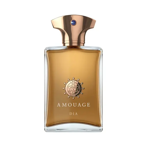 Amouage Dia Herren Edp – 100 Ml thumbnail