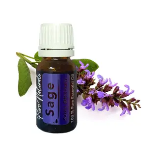 Essentiële Olie Aromatherapie - Biologisch - Sage (Salie) - Flesje 10ml - Pure Naturals