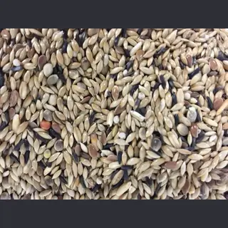 Deli Nature Kanariezaad Zonder Raapzaad - 5kg
