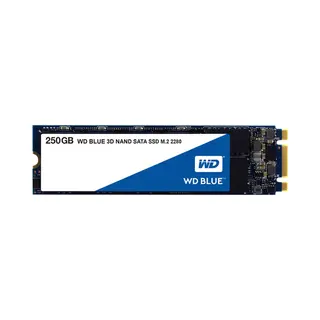 Western Digital Blue 3D 250 Gb M.2