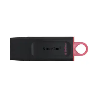 Kingston Technology DataTraveler Exodia - Usb 3.2 Flash Drive