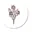 Bloem | Boeket