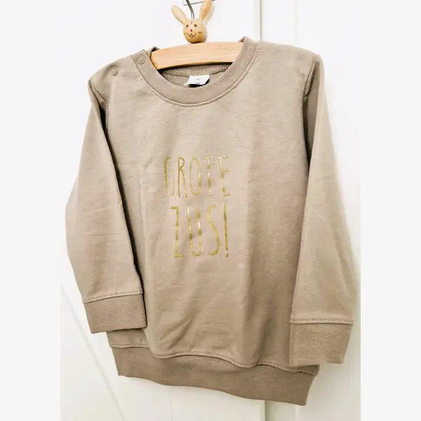 Sweater Trui Voor Kind Meisje - Big Sister - Maat 98 Beige Goud Zand - Grote Zus - Zwanger - Geboorte - Gezinsuitbreiding - Aankondiging - Cadeau - thumbnail