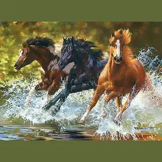 Paint By Numbers Paarden - Schilderen Op Nummer - 50x40cm - Volwassenen - Stipco
