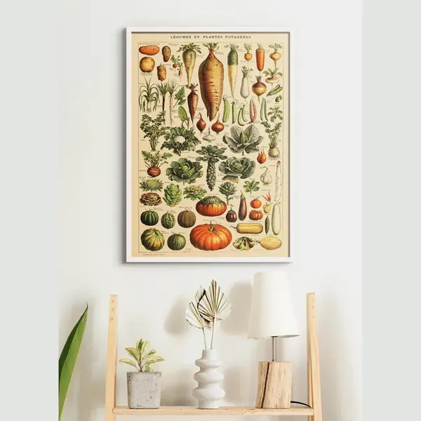 Esque Poster In Witte Lijst - Vintage Groenten - Educatief - Botanisch - 70x50 Cm thumbnail
