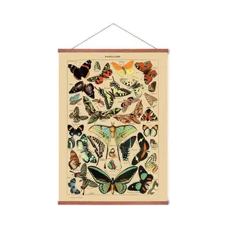 Esque Poster In Posterhanger - Vintage Vlinders - Kader Hout - Educatief - Dieren - 70x50 Cm - Ophangsysteem