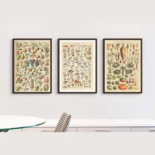 Esque Vintage Posterset - Fotowand - Adolphe Millot - Groenten - Fruit - Paddestoelen - Collage