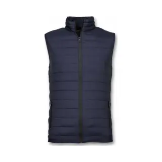 Y chromosome Bodywarmer Heren - Casual Bodywarmer - Blauw