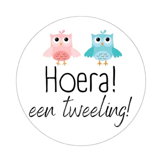 20 X Sluitsticker Tweeling Meisje Jongen Geboren Stickervel | Roze Groen Blauw Wit | 40 Mm | Geboorte Sticker | Sluitzegel | Sticker Geboortekaart