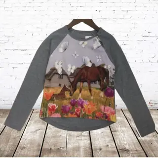 Grijs Shirt Met Bruin Paard -s&C-86/92-Longsleeves Meisjes