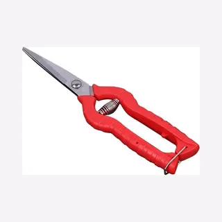 Rvs Oogstschaar Voor Snijbloemen En Licht Snoeiwerk - 21cm