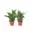 2x kweekpot