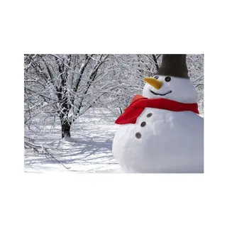 Sneeuwpop Aankleedset - Aankleed Kostuum - Winter Decoratie Buiten - Sneeuwman - Sneeuwpopset