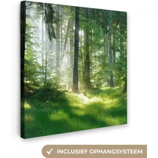OneMillionCanvasses Canvas Schilderij - Bos - Gras - Landschap - Boom - Schilderijen Op Canvas - Canvas Doek - 50x50 Cm
