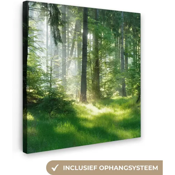 OneMillionCanvasses Canvas Schilderij - Bos - Gras - Landschap - Boom - Schilderijen Op Canvas - Canvas Doek - 50x50 Cm thumbnail