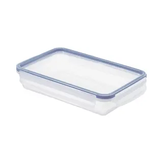 Rotho 1162706161WS Rechteckig Box 1 l Blau, Transparent 1 Stück(e)
