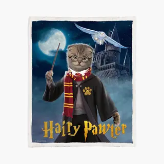 The Coloured House Harry Potter Parody Fleece Deken 150*200cm Hairy Pawter