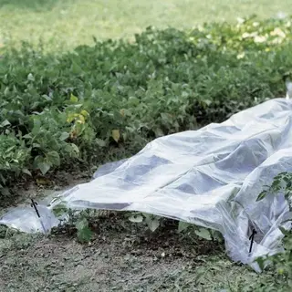 Verdemax Folie Voor Kweektunnel - 2 X 10 M
