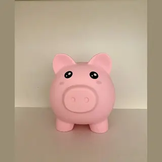 I-total Spaarpot Varken Onbreekbaar - Spaarvarken -Pvc - Educatief - Roze Spaarvarken
